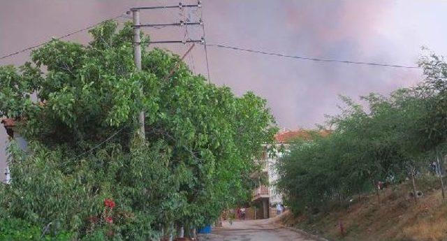 Turgutlu'da 15 Dönüm Makilik Ve Tarım Arazisi Yandı