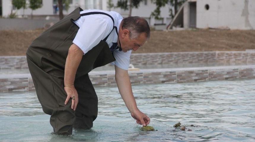 Bolu&rsquo;da, Nil&uuml;fer Ve Bonsai Sanat Parkı Kuruluyor