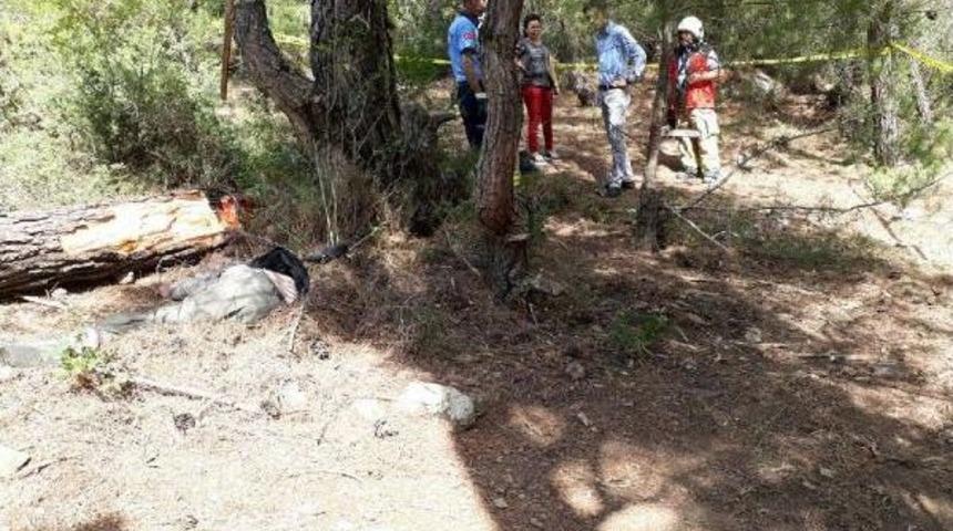 Kestiği Ağacın Altında Kalarak &Ouml;ld&uuml;