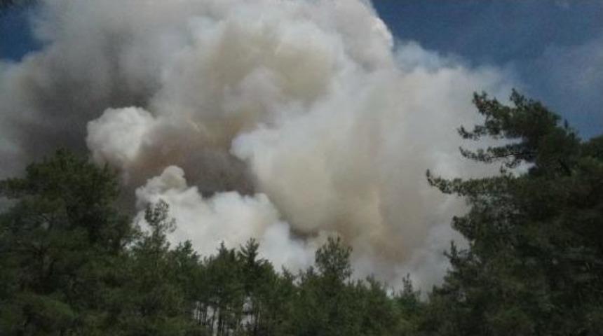 Marmaris'te Korkutan Orman Yangını (3)