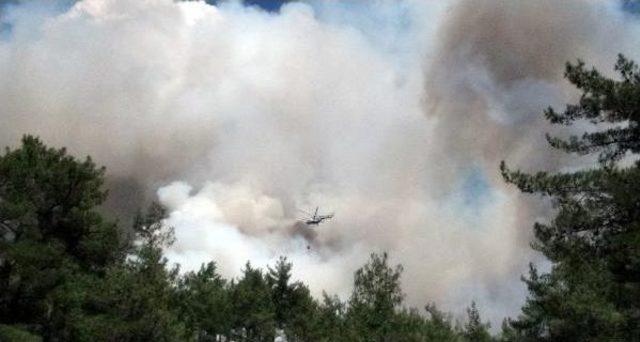 Marmaris'te Korkutan Orman Yangını (3)