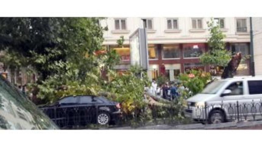 Laleli&rsquo;de Ağa&ccedil;lar Ara&ccedil;ların &Uuml;zerine Devrildi