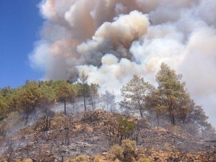 Marmaris’teki Orman Yangını Söndürüldü G3