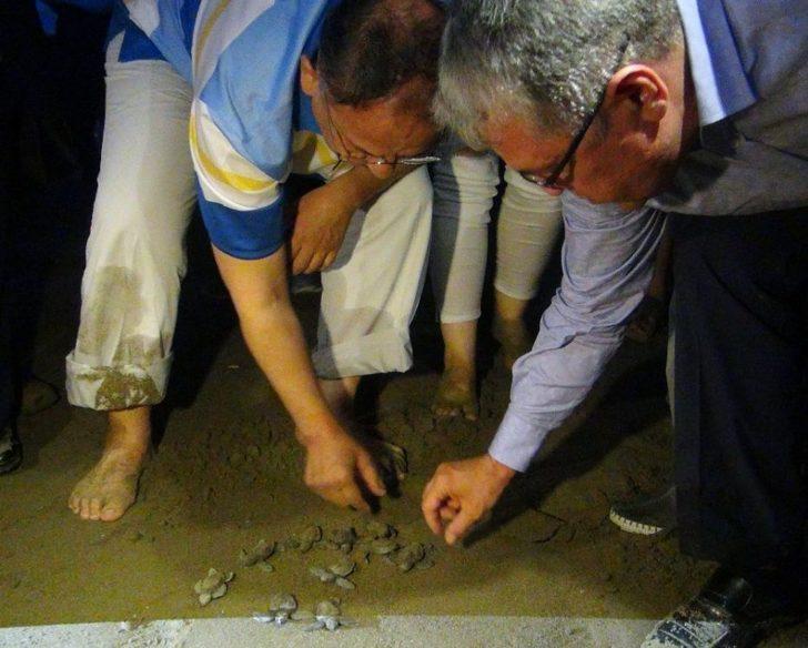 Bakan Özhaseki Yavru Carettaları Denizle Buluşturdu G1