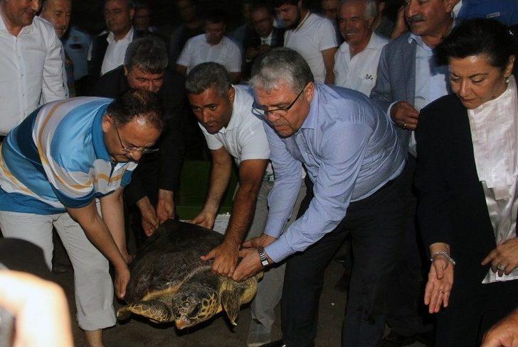 Bakan Özhaseki Yavru Carettaları Denizle Buluşturdu G3