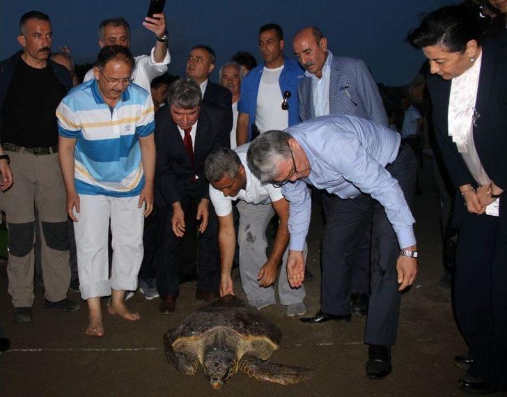 Bakan Özhaseki Yavru Carettaları Denizle Buluşturdu G4