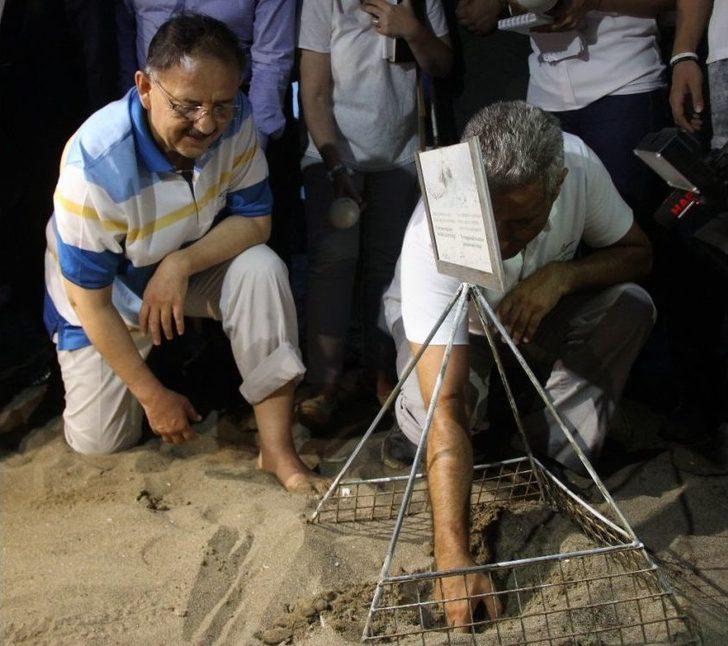 Bakan Özhaseki Yavru Carettaları Denizle Buluşturdu G5