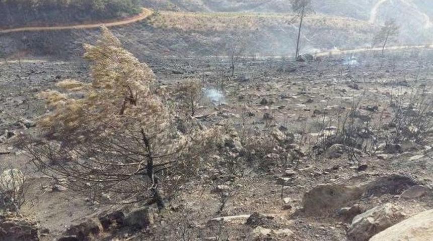 İzmir'deki Orman Yangınında 500 Hektar Zarar G&ouml;rd&uuml; (2)