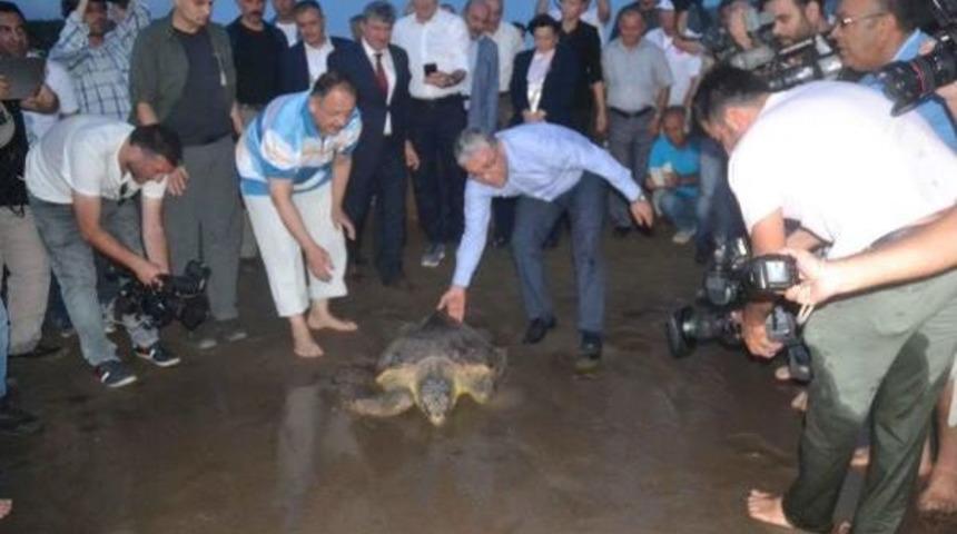 Bakan Özhaseki, Tedavi Edilen Kaplumbağaları Denize Bıraktı