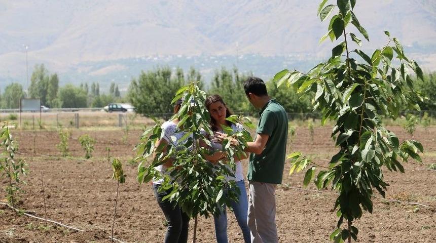 "mutfaktan Bah&ccedil;eye" Projesinin Uygulanması Devam Ediliyor