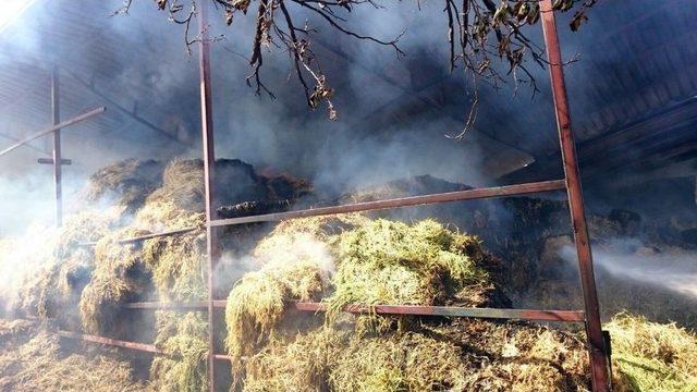 Samanlık Yangını Korkuttu