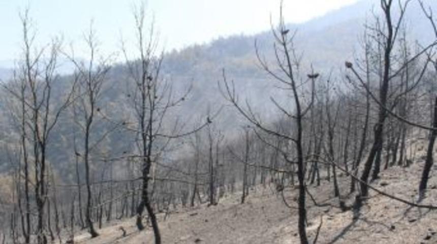 Bayındır&rsquo;daki Yangında Soğutma &Ccedil;alışmaları S&uuml;r&uuml;yor