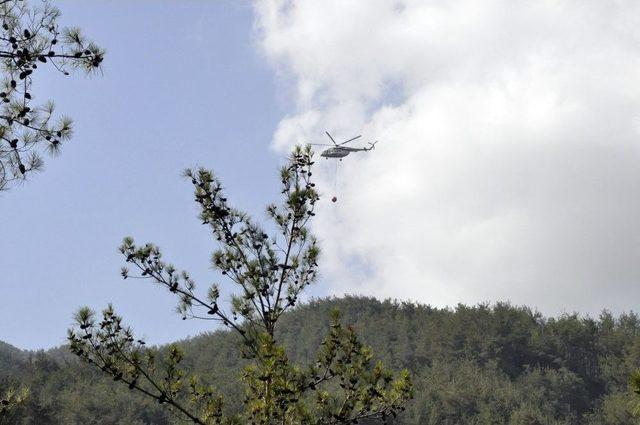 Hatay’da Orman Yangını