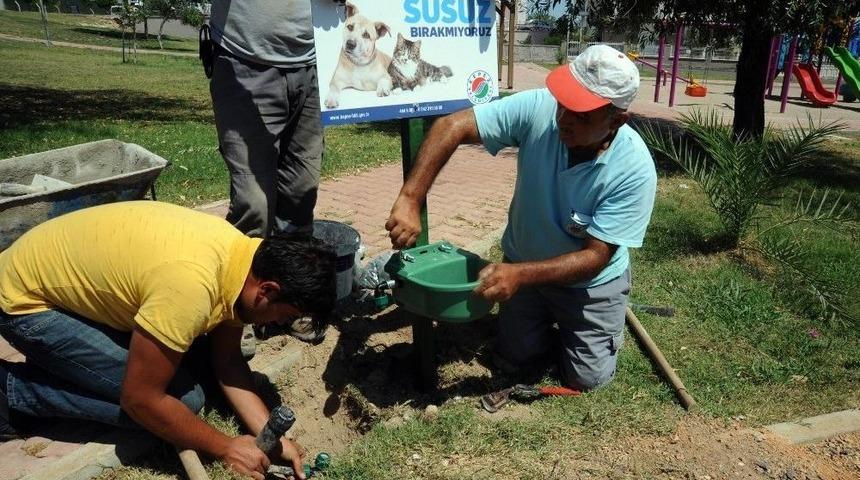 Kepez&rsquo;in 92 Noktasına Otomatik Su Kabı