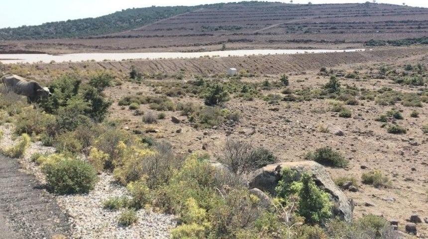 430 Dekar Arazide Sulu Tarım Yapılacak