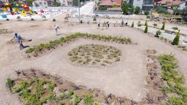 Tarihi Höyüğü, Park Yaptılar