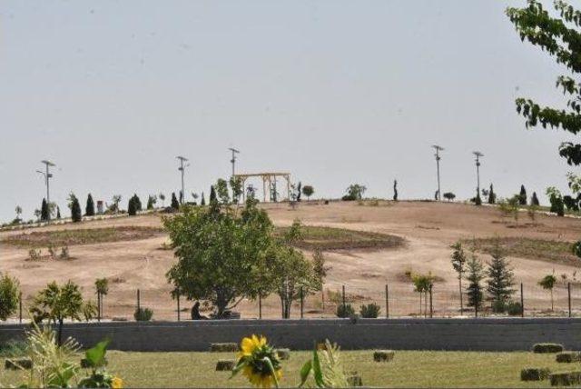 Tarihi Höyüğü, Park Yaptılar