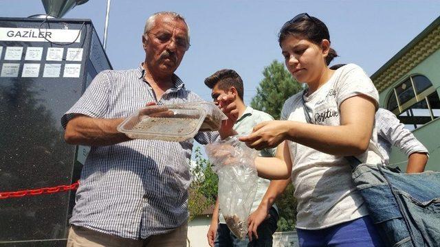 Amerikan Beyaz Kelebeği İle Mücadelede Yeni Dönem