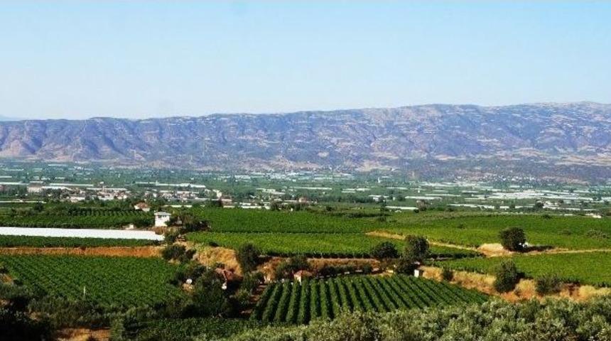 Sarıg&ouml;l Ovası Beyaza B&uuml;r&uuml;necek