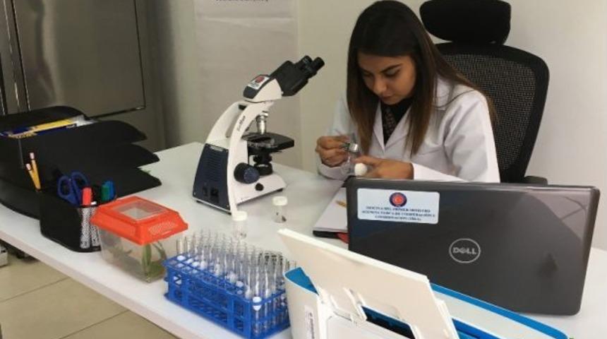 Orta Amerika&rsquo;da İlk Biyolojik M&uuml;cadele Laboratuvarı Tika Tarafından Honduras&rsquo;ta Kuruldu