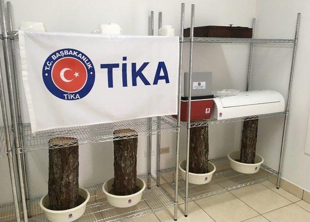 Orta Amerika’da İlk Biyolojik Mücadele Laboratuvarı Tika Tarafından Honduras’ta Kuruldu