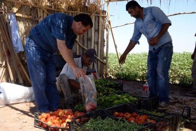 Bismil Belediyesi'nden 'toprak Reformu' Gibi Uygulama