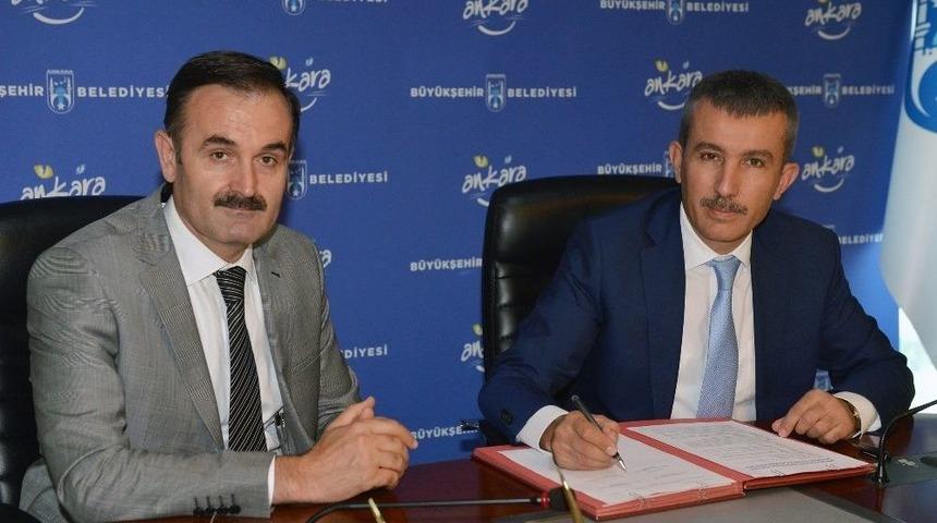 Büyükşehir Belediyesi İle Orman Ve Su İşleri Bakanlığı, Sokak Hayvanları İçin Ortak Çalışma Yürütecek