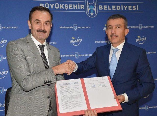 Büyükşehir Belediyesi İle Orman Ve Su İşleri Bakanlığı, Sokak Hayvanları İçin Ortak Çalışma Yürütecek