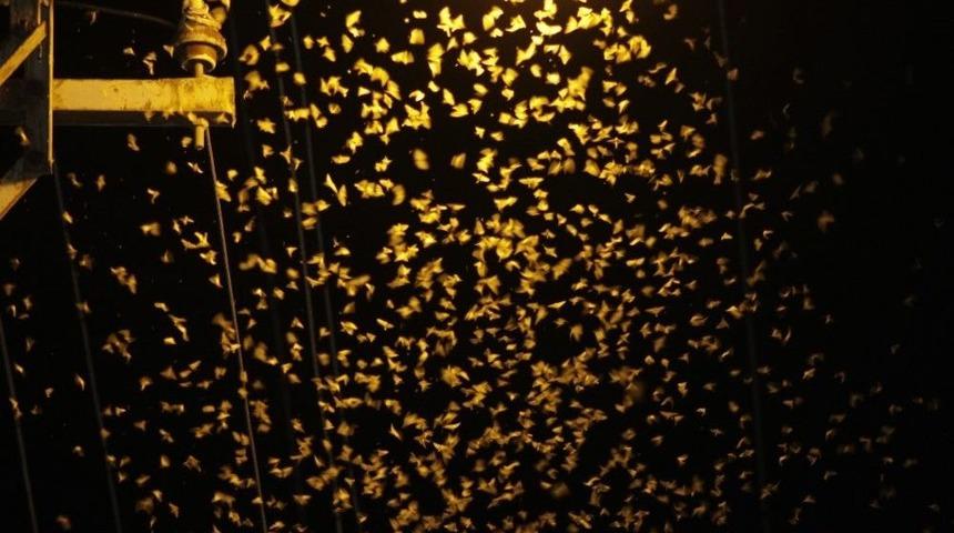 Beyt&uuml;şşebaplılar Evlerine Hapsoldu