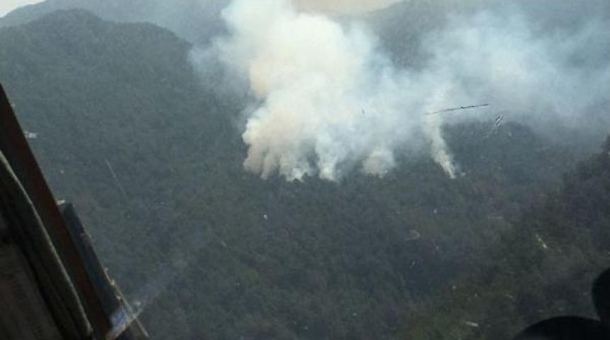 D&ouml;rtyol'da Orman Yangını