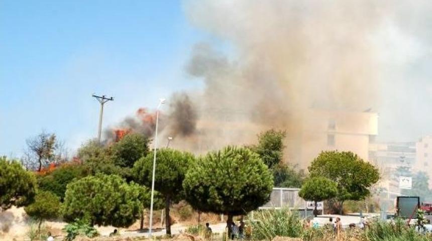 Side'de Korkutan Ağa&ccedil;lık Yangını