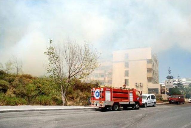 Side'de Korkutan Ağaçlık Yangını