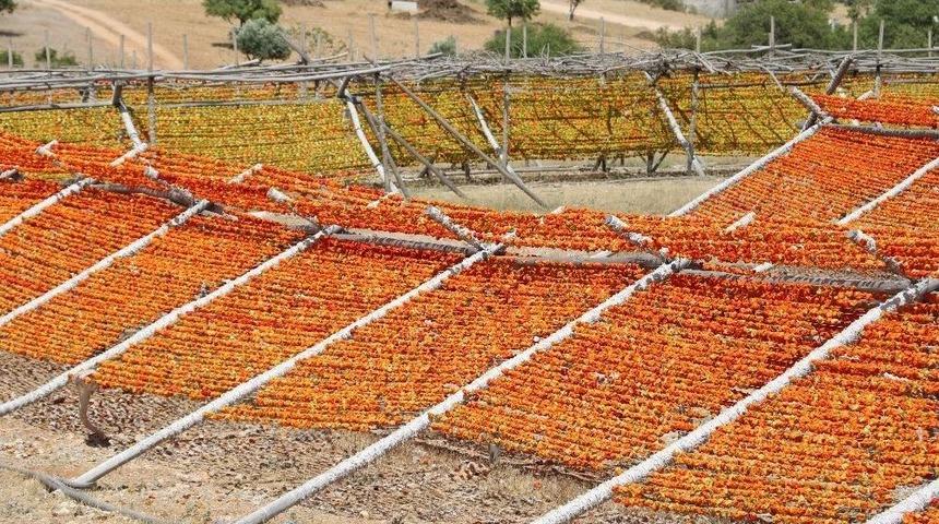 Hava Kirliliği Kış Hazırlıklarında Sistemi Değiştirdi