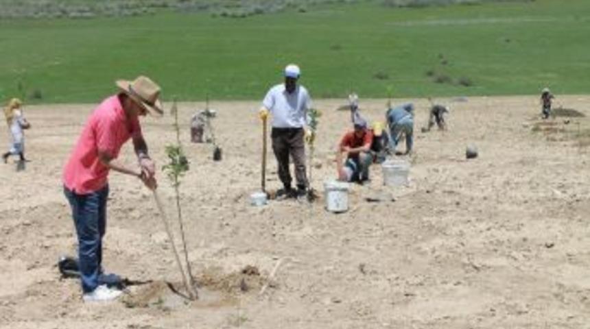 Gelecek İ&ccedil;in Yeni Umut Meyvecilik