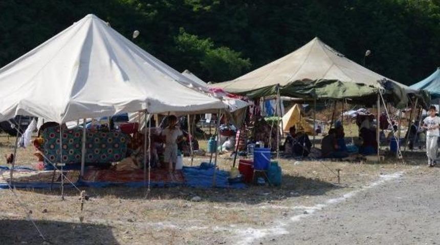 Ordu'da Fındık Hasadı I&ccedil;in 10 Bin Mevsimlik Iş&ccedil;i Bekleniyor