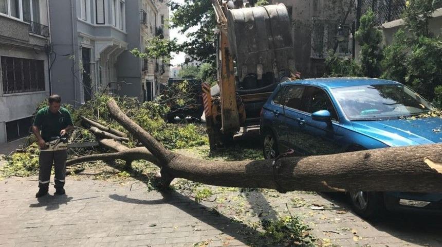 Başkan Demircan: “büyük Afet Yaşadık Ama Çabuk Atlattık”
