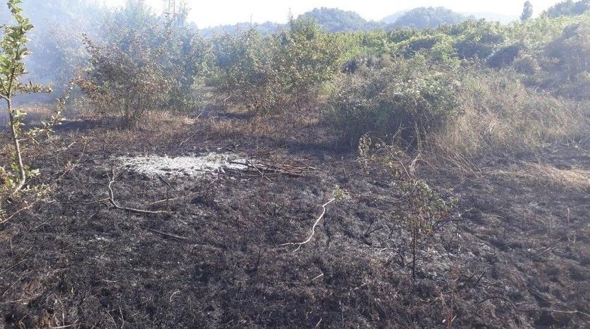 Kastamonu&rsquo;da &Ccedil;ıkan Anız Yangını, Ormana Sı&ccedil;ramadan S&ouml;nd&uuml;r&uuml;ld&uuml;