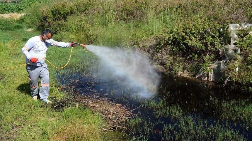 Bafra&rsquo;da Larva Ve U&ccedil;kun İle M&uuml;cadele