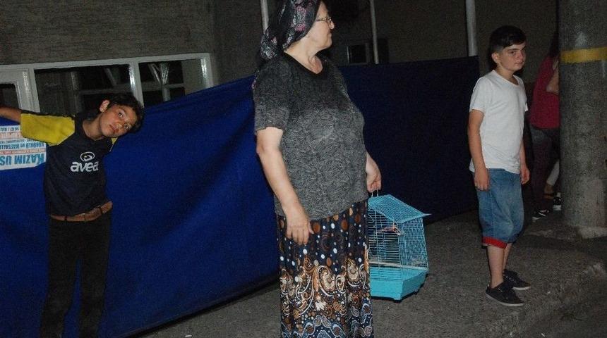 Mahalleli Kafesten Ka&ccedil;an Kuş İ&ccedil;in Seferber Oldu