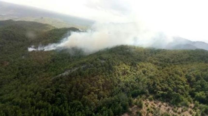 Antalya'da Orman Yangınında 5 Hektar Zarar G&ouml;rd&uuml;