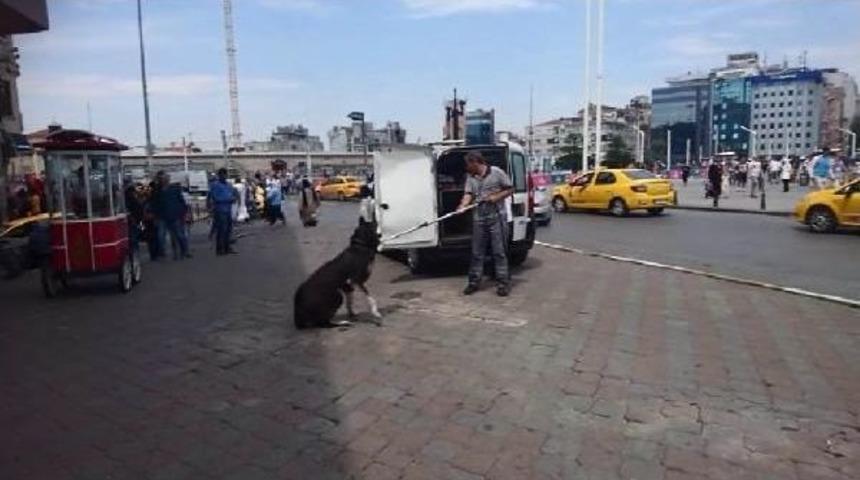 Taksim Meydanı'nda G&uuml;ndem Bu K&ouml;pek