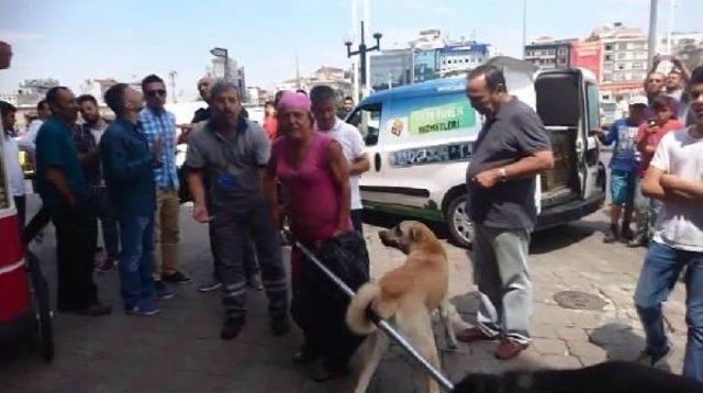 Taksim Meydanı'nda Gündem Bu Köpek