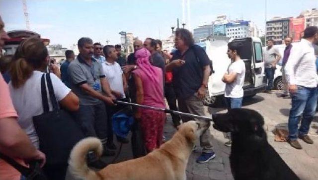 Taksim Meydanı'nda Gündem Bu Köpek