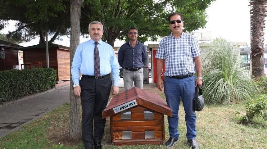 Kediler İ&ccedil;in &lsquo;dubleks&rsquo; Barınak