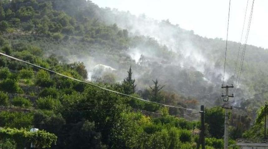 Silifke'de 10 D&ouml;n&uuml;m Orman Yandı