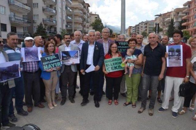 Chp'den Ağaç Katliamı Protestosu