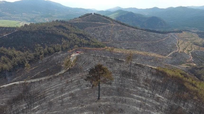 4 G&uuml;nl&uuml;k Yangının Ardından Y&uuml;rek Yakan G&ouml;r&uuml;nt&uuml;ler