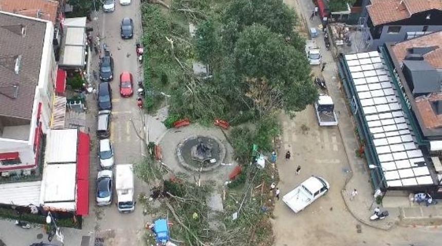 Fırtınayla Yıkılan Koşuyolu Parkında Son Durum