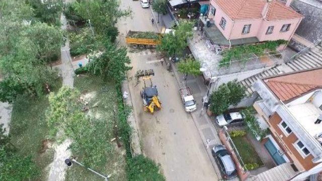 Fırtınayla Yıkılan Koşuyolu Parkında Son Durum