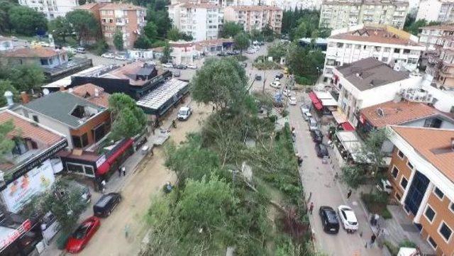 Fırtınayla Yıkılan Koşuyolu Parkında Son Durum